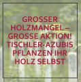 Großer Holzmangel - große Aktion! Tischler-Azubis pflanzen ihr Holz selbst