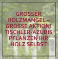 Großer Holzmangel - große Aktion! Tischler-Azubis pflanzen Ihr Holz selbst